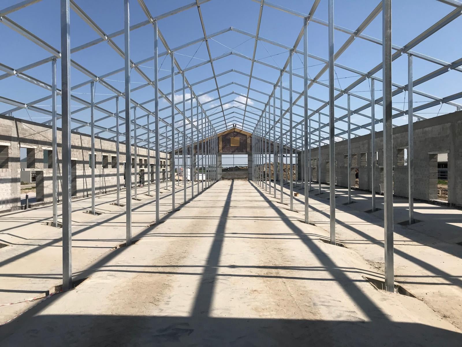 Halvest - Budowa hal